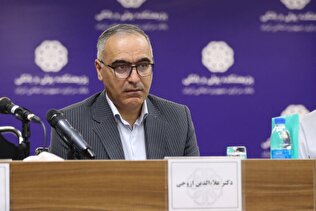 اکثر نوسانات ارزی کشور ناشی از سفته‌بازی است