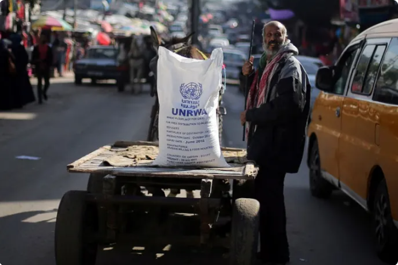 کاهش محسوس قیمت کالا‌ها در غزه با اعلام آتش‌بس