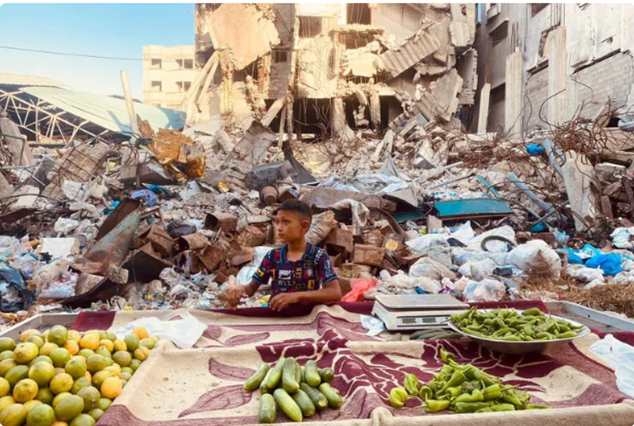 تخریب زمین‌های کشاورزی، قیمت‌ها را در غزه افزایش داد