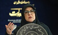 دولت تصمیمی برای حذف ارز ترجیحی دارو و کالاهای اساسی ندارد