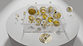 حباب سکه کمتر شد