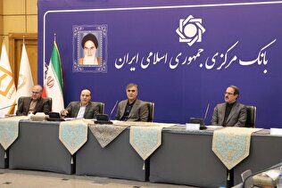 فرزین: مؤسسه ملل فقط یک سال برای اصلاح فرصت دارد