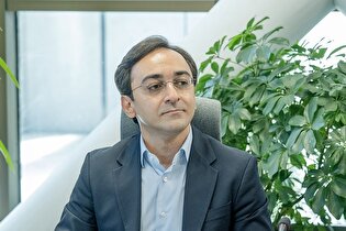 سیگنال های منفی و دلالان ارزی مهمترین عوامل نوسان بازار/ ساختار نظارتی باید تقویت شود