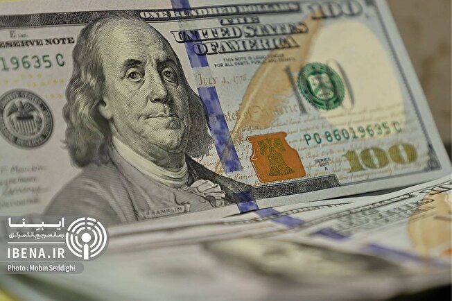 مسائل سیاسی و روانی ریشه اصلی نوسانات ارزی/ دلار با مداخله بانک مرکزی کاهش می‌یابد