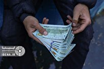 التهابات ارزی و ضرورت همراهی همه بخش‌ها در ثبات اقتصادی