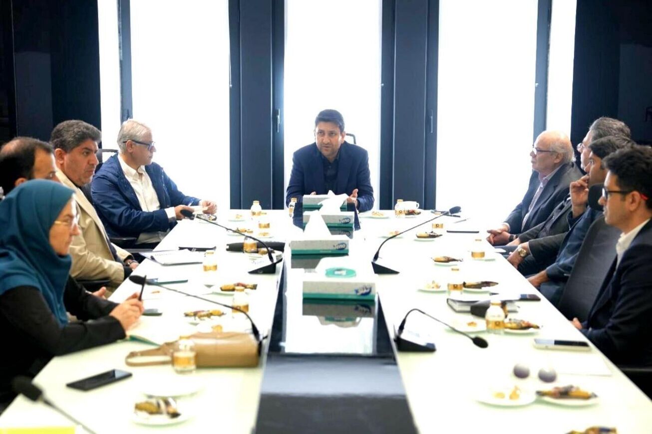 حمایت یکپارچه دولت از کسب&zwnj;وکار&zwnj;های اقتصاد دیجیتال