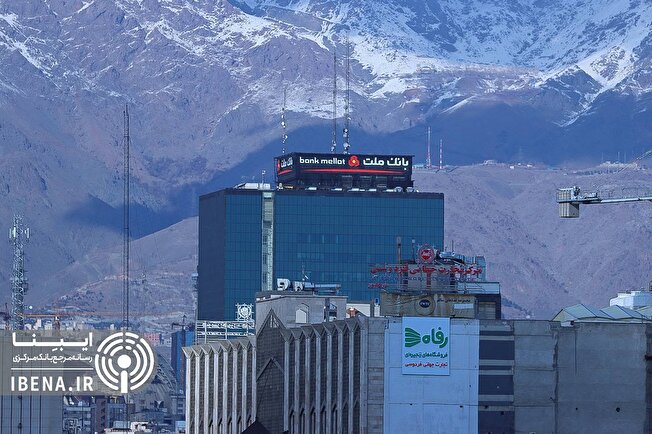 «حامینا» محصول جدید بانک ملت برای تامین مالی نهاده‌های دامی