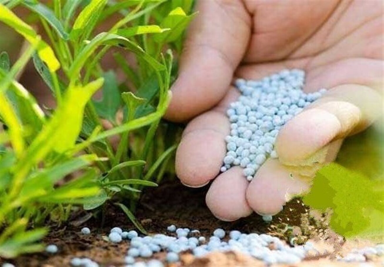 تأثیر تنش در خلیج فارس بر بازار&zwnj;های جهانی کود شیمیایی و تولید غذا