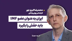 ایران به عنوان عضو IMF باید حقش را بگیرد