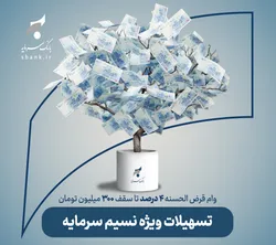 تشریح جزئیات پرداخت تسهیلات قرض&zwnj;الحسنه تا سقف ۳ میلیارد ریال در بانک سرمایه