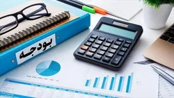 چرا بودجه ۱۴۰۲ به موقع به مجلس نرسید؟