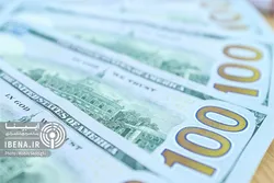 ذخایر ارزی در اثر گسترش تجارت با همسایگان بهبود یافت/ بازار ارز توافقی بستری مناسب برای ارتباط صادرکنندگان و واردکنندگان