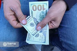 قیمت واقعی دلار ۴ هزار تومان ارزان&zwnj;تر از کانال&zwnj;های بی&zwnj;هویت تلگرامی