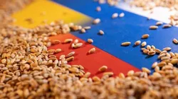 ثبت رکورد صادرات غلات در روسیه