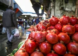 میوه شب یلدا گران نمی&zwnj;شود
