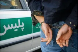 دستگیری ۵ دلال ارز در تهران/ کشف ۳۷ میلیارد ریال انواع ارز