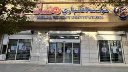 اعضای هیات سرپرستی موسسه ملل توسط بانک مرکزی معرفی شدند