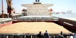 یک پنجم صادرات گندم جهان با وجود تحریم دست روس&zwnj;ها است