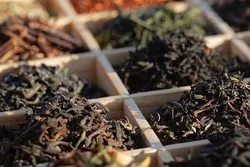 صادرات ۱۵ میلیون دلاری چای ایرانی