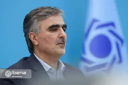 هشدار فرزین به پولشویی ارزی برخی از فعالان اقتصادی