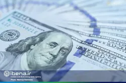 قرارداد&zwnj;های تجاری با کشور&zwnj;های منطقه نوسانات ارزی را کاهش می&zwnj;دهد