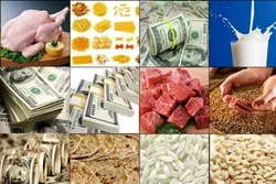 تامین ارز کالاهای اساسی در جریان است