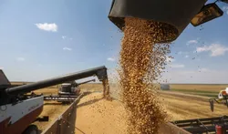 روسیه به لبنان گندم رایگان می&zwnj;دهد