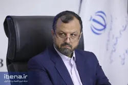 دولت نفعی از گرانی دلار نمی&zwnj;برد