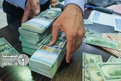 تالار ارز توافقی انگیزه فعالان اقتصادی را بیشتر می&zwnj;کند