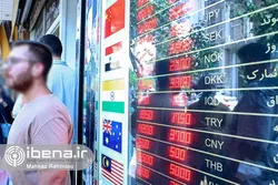 صرافی&zwnj;های متخلف در افزایش نرخ ارز تاثیرگذار بودند/ هنوز تجربه تلخ موسسات مالی غیرمجاز را فراموش نکرده&zwnj;ایم