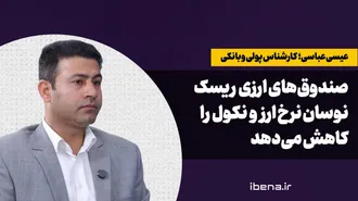 صندوق‌های ارزی ریسک نوسان نرخ ارز و نکول را کاهش می‌دهد