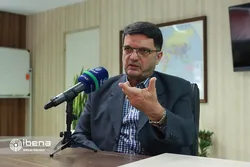 طرح جدید وزارت صمت در بازرسی بازار / شکایت از واحد صنفی آسان می&zwnj;شود