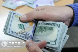 چه کسانی می&zwnj;توانند از سامانه "ناخدا" ارز بگیرند؟