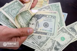 روایت یک صراف از بهم ریختن بازار ارز توسط کانال&zwnj;های تلگرامی