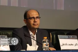 سیاستگذاری تک هدفی ثبات قیمت&zwnj;ها در اقتصاد فعلی پاسخگو نیست
