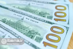 تعهد ارزی صادرکنندگان شیرخشک صنعتی موقتا برداشته شد