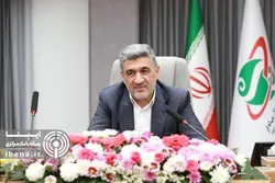 برنامه&zwnj;های دولت برای افزایش سهم بازار سرمایه در تامین مالی بنگاه&zwnj;ها