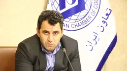 وثیقه&zwnj;محوری تعاونی&zwnj;ها را از چرخه تسهیلات بانکی خارج کرده است