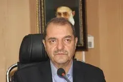 قیمت کالاهای اساسی افزایش نیافته است/ خنثی&zwnj;سازی نوسانات با مدیریت راهبردی بانک مرکزی