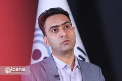 سیاست تثبیت نرخ ارز تلاطم&zwnj;های اقتصادی را کاهش می&zwnj;دهد