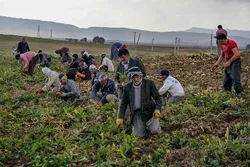 خبر خوش برای مستمری&zwnj;بگیران روستایی