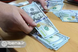 ۸تدبیر ویژه بانک مرکزی برای پیش&zwnj;بینی&zwnj;پذیرشدن اقتصاد/ چشم&zwnj;انداز بهبود رفاه با ثبات ارزی