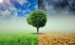 گام تازه بانک جهانی برای مقابله با تغییرات اقلیمی