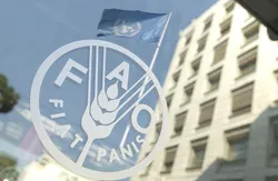 حق رای ایران در فائو پس از ۱۵ سال احیا شد