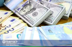 عرضه ارز افزایش یافت
