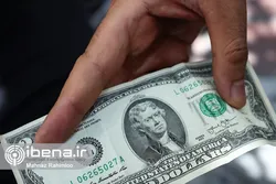 عرضه ۳۱۷ میلیون دلار در سامانه نیما