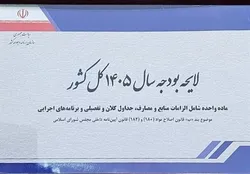 افزایش ۵۵ هزار میلیارد تومانی سرمایه بانک&zwnj;های دولتی