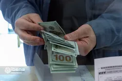 تقلای تلگرامی دلالان دلار برای جلوگیری از ضرر بیشتر