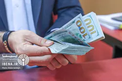 کنترل هیجانات ارزی با راه اندازی بازار تجاری/ شفافیت افزایش می&zwnj;یابد