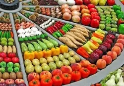 صادرات میوه به عربستان به زودی احیا می&zwnj;شود